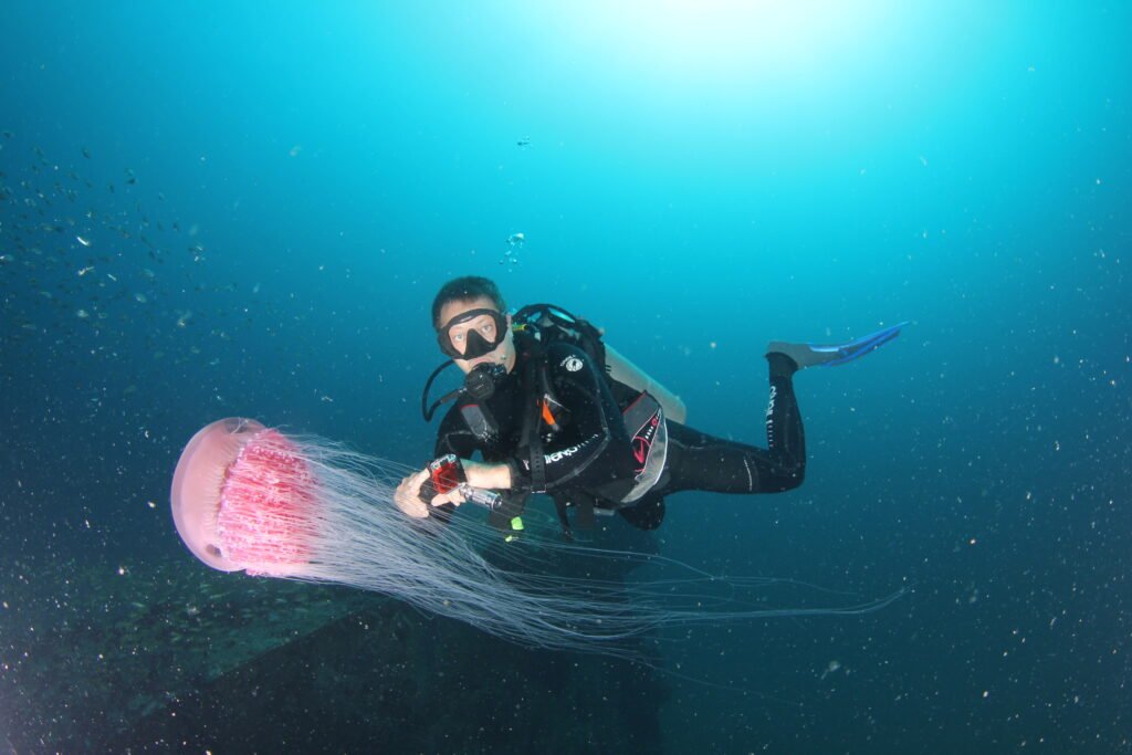 Diver next to huge Jellyfish during Rescue diver course