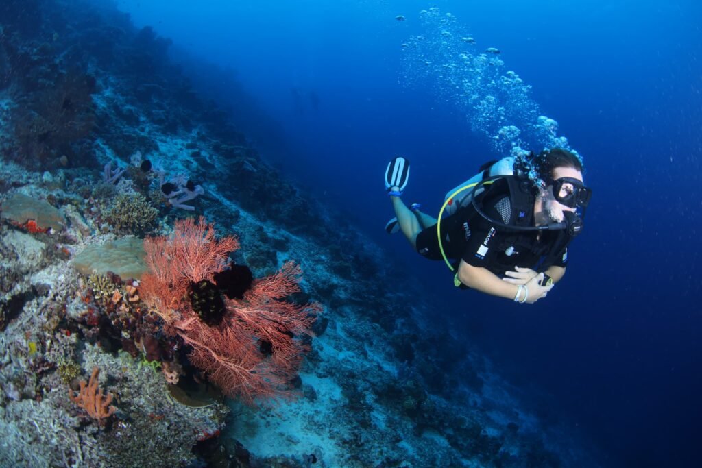 Diver swimming on coral reefs scuba diving Sabah