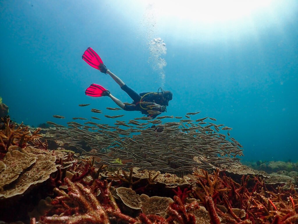 Diver scuba diving on coral reef in Sabah during PADI Open water course